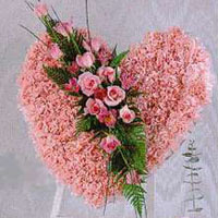kalp pano karankil ve güller   Sinop 14 şubat sevgililer günü çiçek 
