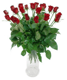  Sinop çiçek siparişi sitesi  11 adet kimizi gülün ihtisami cam yada mika vazo modeli