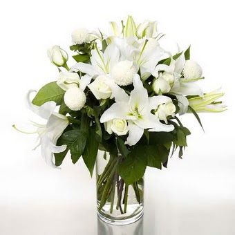  Sinop ucuz çiçek gönder  1 dal cazablanca 7 adet beyaz gül vazosu