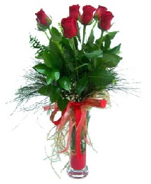 vazo içerisinde 5 kırmızı gül  Sinop çiçek yolla 