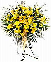  Sinop çiçek gönderme  Sari kazablanka Ferforje