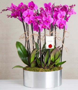 11 dall mor orkide metal vazoda  Sinop ucuz iek gnder 