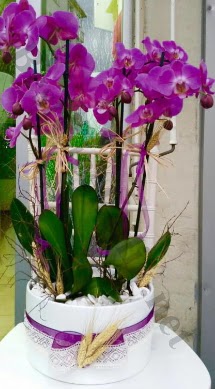 Seramik vazoda 4 dall mor lila orkide  Sinop hediye sevgilime hediye iek 