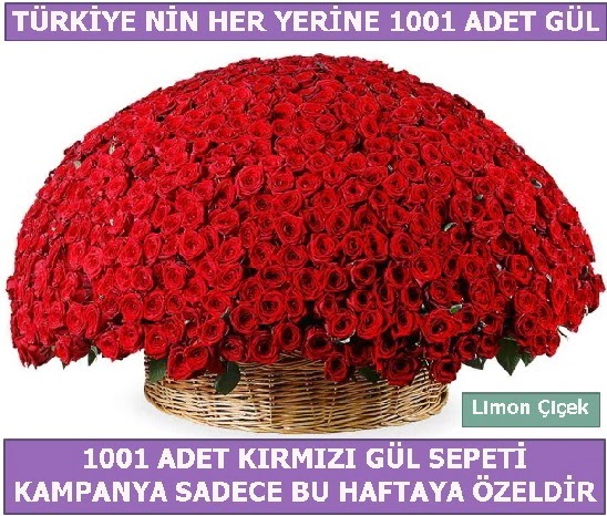 1001 Adet kırmızı gül Bu haftaya özel  Sinop çiçek , çiçekçi , çiçekçilik 