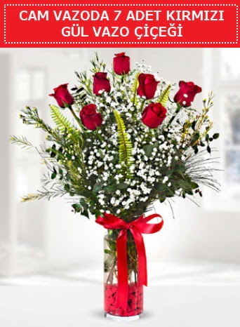 Cam vazoda 7 adet kırmızı gül çiçeği  Sinop ucuz çiçek gönder 