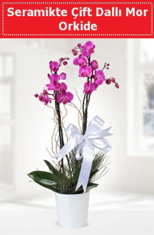 Seramikte Çift Dallı Mor Orkide  Sinop güvenli kaliteli hızlı çiçek 