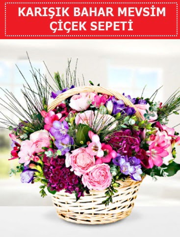 Karışık mevsim bahar çiçekleri  Sinop internetten çiçek siparişi 