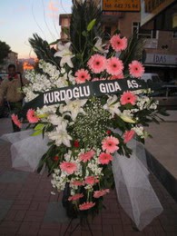 kazablanka,gerbera,sebboy ferforje  Sinop online çiçek gönderme sipariş 