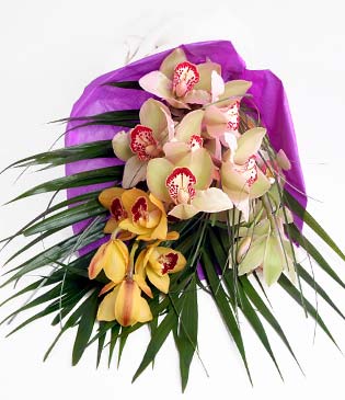  Sinop çiçek servisi , çiçekçi adresleri  1 adet dal orkide buket halinde sunulmakta