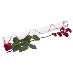 1 adet kutu gül silindir kutuda   Sinop çiçek online çiçek siparişi 