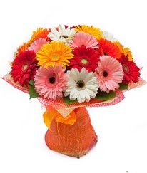 Renkli gerbera buketi  Sinop güvenli kaliteli hızlı çiçek 