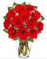 12 adet vazoda kıpkırmızı gül  Sinop çiçek online çiçek siparişi 
