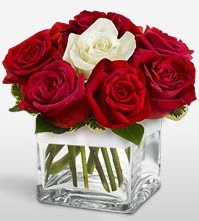 Tek aşkımsın çiçeği 8 kırmızı 1 beyaz gül  Sinop çiçek mağazası , çiçekçi adresleri 