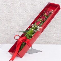 Kutu içerisinde 3 adet kırmızı gül  Sinop hediye sevgilime hediye çiçek 