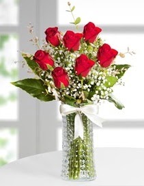 Cam vazoda 7 adet kırmızı gül  Sinop çiçekçiler 