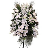  Sinop çiçek online çiçek siparişi  Ferforje beyaz renkli kazablanka