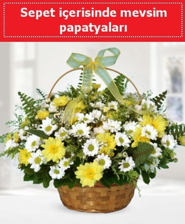Sepet içerisinde mevsim papatyaları  Sinop internetten çiçek siparişi 