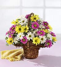  Sinop uluslararası çiçek gönderme  Mevsim çiçekleri sepeti